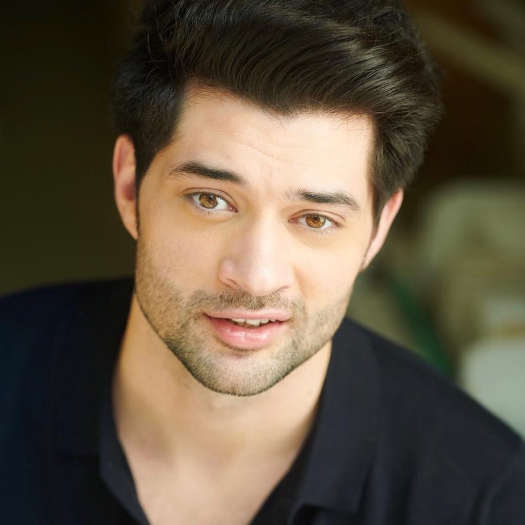 Rajveer Deol Film Biography Sunny Deol's Younger Son